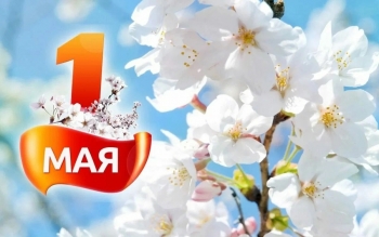     ! -  <br>"  ,      "